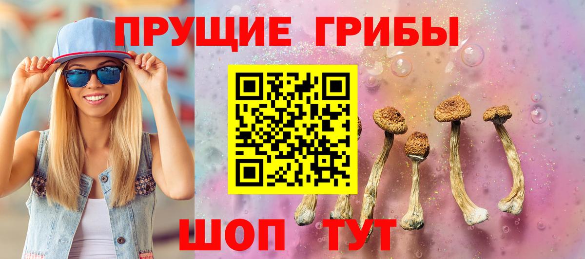 Галлюциногенные грибы Magic Shrooms Новочеркасск
